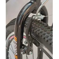 مشخصات، خرید و قیمت دوچرخه 26 دنده مچی طرح ویوا مشکی