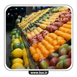 نرم افزار حسابداری میوه و تره بار هلو