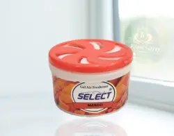 بوگیر دستشویی کنسروی سلکت با رایحه انبه MANGO - ماهان بهداشت