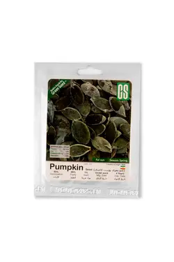 بذر کدو آجیلی مشهدی