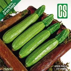 بذر کدو خورشتی هیبرید