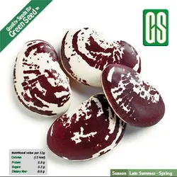 بذر لوبیا عروس