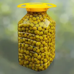 زیتون بدون هسته عمده (6 کیلوگرمی)