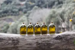 روغن زیتون مخصوص ماساژ ، تاثیر گرفته از گیاهان دارویی پوست و موی سر