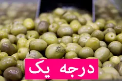 زیتون کنسروی ممتاز (نیم کیلو)