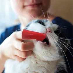 مسواک انگشتی سگ و گربه 2 عددی Luxury Paws
