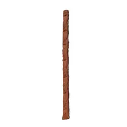 تشویقی مدادی گربه طعم ماهی قزل آلا کچت 10 عددی (Cachet) وزن 50 گرم کد 105025