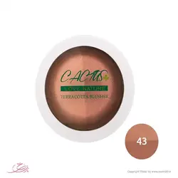 خرید هایلایتر کاکتوس 43 و کانتور - قیمت عمده و کلی - نازی رخ