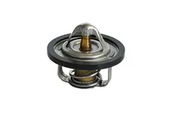 ترموستات دوو ریسر OEM
