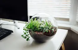 مجموعه ساخت تراریوم