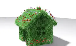 آموزش کاشت سبزه عید مخملی