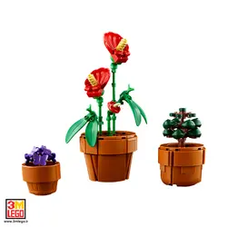 لگو آیکونز 10329 گیاهان کوچک Tiny Plants - فروشگاه مجازی لگو تهران