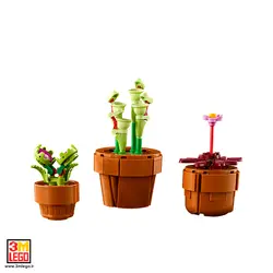 لگو آیکونز 10329 گیاهان کوچک Tiny Plants - فروشگاه مجازی لگو تهران