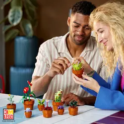 لگو آیکونز 10329 گیاهان کوچک Tiny Plants - فروشگاه مجازی لگو تهران
