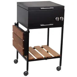 باربیکیو کبابپز گازی 51 سانتیمتری با پایه چوب دار مدل BFT-051