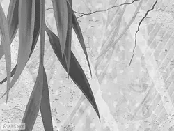 پوستر دیواری طرح برگ M12010220