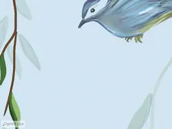 پوستر دیواری گچبری پرنده برگ M12013810