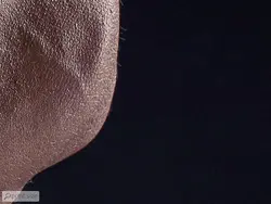 پوستر دیواری باشگاه بدنسازی M12017800