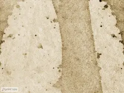 پوستر دیواری کلاسیک آبرنگی درخت M10051810