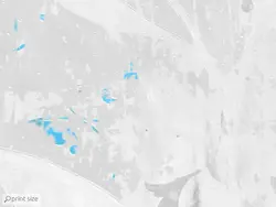 کاغذ دیواری مدرن طرح برگ M12218800