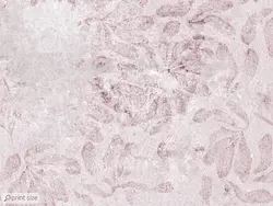 کاغذ دیواری پتینه هنری مدرن M12216500