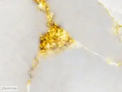 کاغذ دیواری طرح سنگ مرمر M10066200