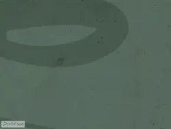 پوستر دیواری مدرن هنری M10064900