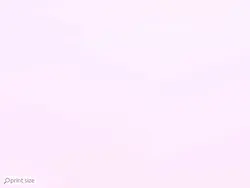 کاغذ دیواری ساده طیف رنگی M11017700