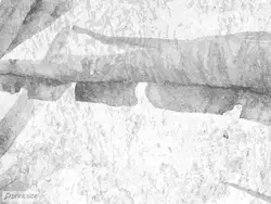 کاغذ دیواری برگ M11019110