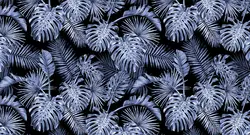 کاغذ دیواری برگ هاوایی M11019600