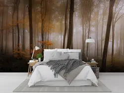 پوستر دیواری منظره طبیعت جنگل M10053310