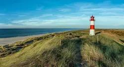 پوستر دیواری ساحل فانوس دریایی M10059600