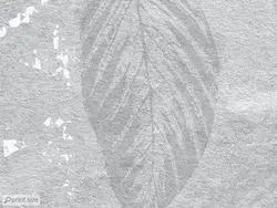 کاغذ دیواری طرح برگ M10072240