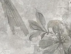 کاغذ دیواری گل و مرغ M11010900