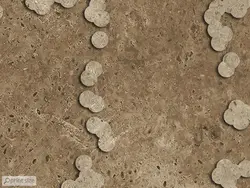 پوستر دیواری سکان کشتی پسرانه M10062110