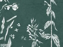 پوستر دیواری برگ و گیاه M10121300