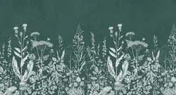 پوستر دیواری برگ و گیاه M10121300