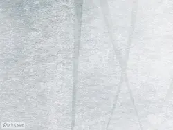 کاغذ دیواری برگ نخل M10159500