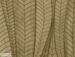 کاغذ دیواری کلاسیک برگ M10167200