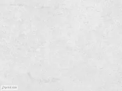 پوستر دیواری برگ M10175900