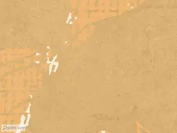 پوستر دیواری گل آفتابگردان M10183500