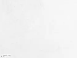 پوستر دیواری منزل طرح گل M10211000