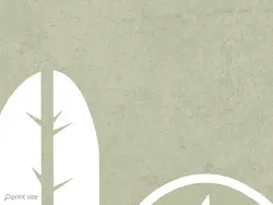 پوستر دیواری کودکانه کاکتوس M10224700