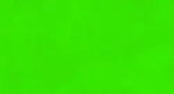 کاغذ دیواری سبز ساده M20021000