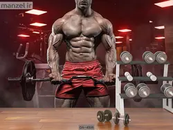 پوستر دیواری باشگاه بدنسازی کد DA-4506