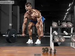 پوستر دیواری باشگاه بدنسازی کد DA-4530