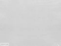 پوستر دیواری طرح برگ نخل M10036100