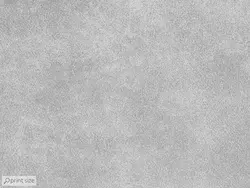 پوستر دیواری برگ استوایی M10044810