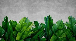 پوستر دیواری برگ استوایی M10044810