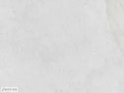 پوستر دیواری برگ M10046510